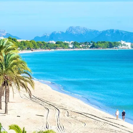 Aguilas Cerca De La Playa.